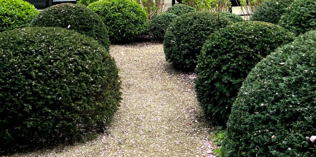 Voortuin Amsterdam