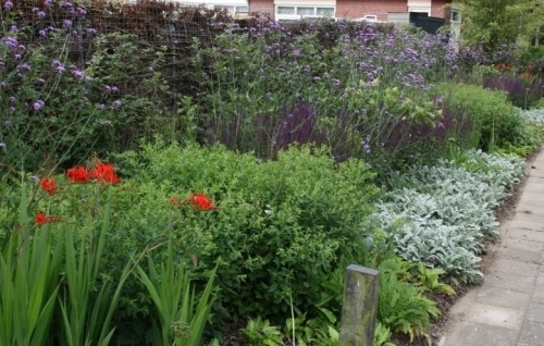Borderpakket Onderhoudsarm D - Pakket OHD 48 planten