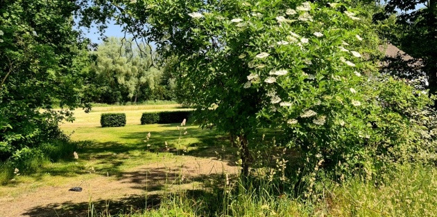 Renovatie landelijke tuin
