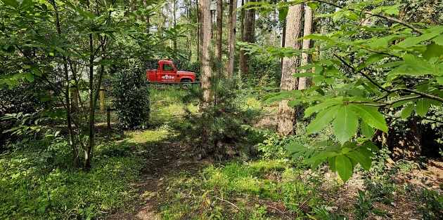 Waldgarten Veluwe