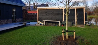 Pflanzanleitung für Baum, Hecke oder Strauch