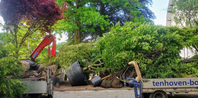 Bomen planten in de zomer