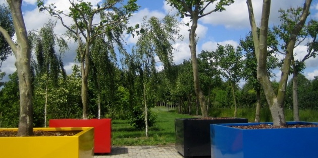 Bomen in bakken