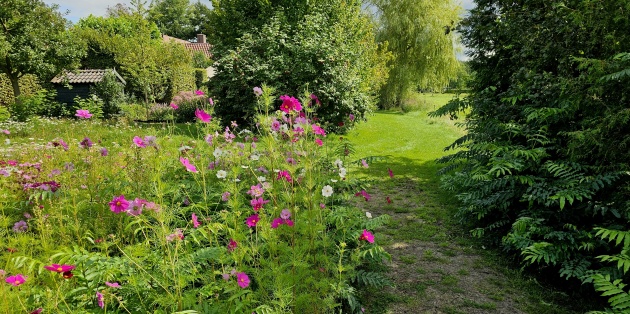 Bloemenweide in natuurlijke tuin