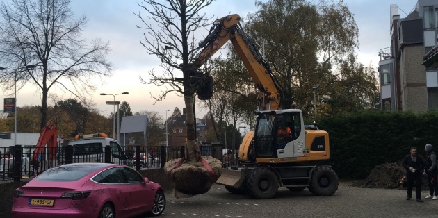 Ten Hoven Bomen voor de groenprofessional