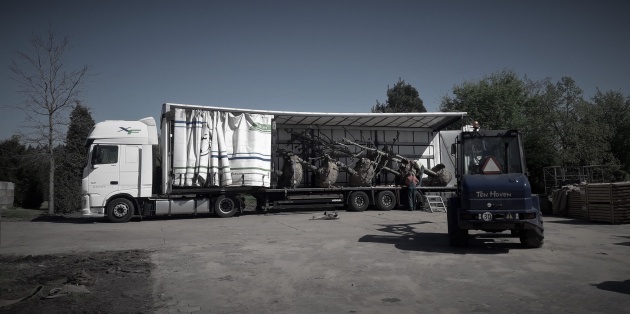 4. Transport
