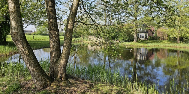Bomen voor een vochtige of natte tuin