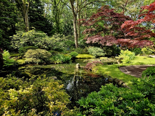 sfeerbeeld Japanse Tuin