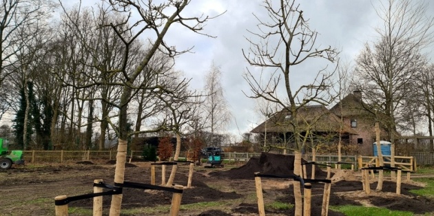 Succesvol bomen planten
