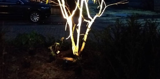 Moongarden