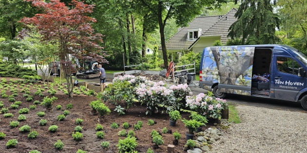 Project Vossebes aan de Lindelaan