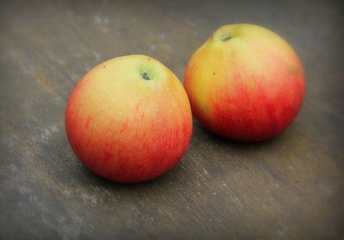 Appel "Pinova"  - Malus domestica 'Pinova'
