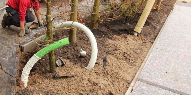 Bomen aanplanten in verharding