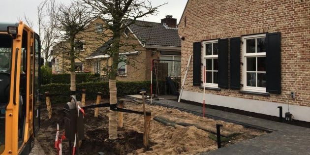 Bomen planten in het najaar.