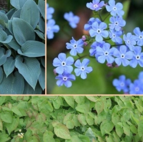 Borderpakket Onderhoudsarm A