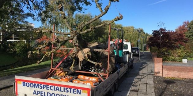 Daklinde Vlaardingen
