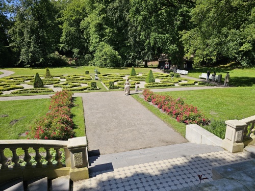 Buxus tuin