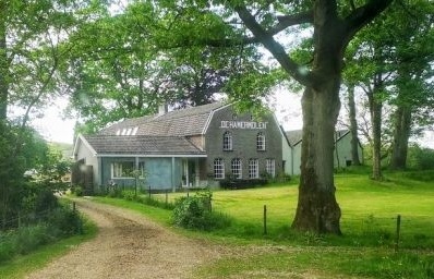 De Hamermolen 