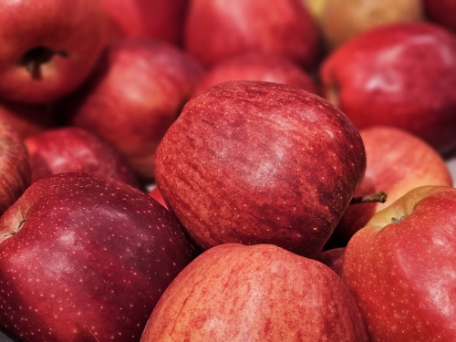 Malus Royal Gala,  rode handappel