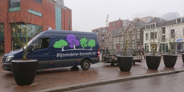 Krenten gemeente Utrecht