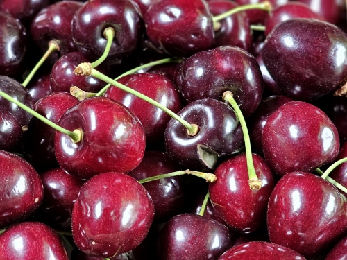 Kers "Bigarreau Burlat" - Prunus avium 'Bigarreau Burlat'