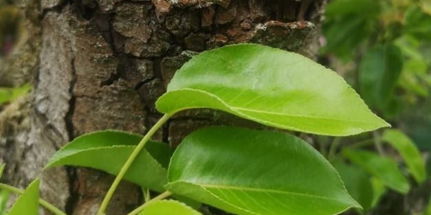 Nieuwe blogs!