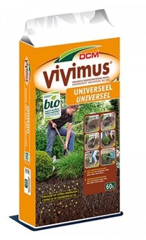 A DCM Vivimus, Aanplantgrond - 