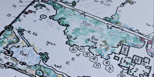 Nieuwe natuurontwikkeling op de Veluwe