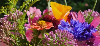 Blog