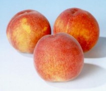 Wassenberger