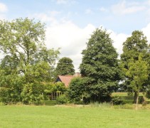 Landschappelijk wonen met vogelbosjes