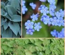 Borderpakket onderhoudsarm A 