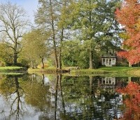 Alnus glutinosa - Zwarte Els - Elzen groep centraal. Links Es. Rechts Amberboom.