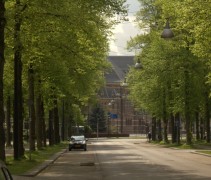 Toepassing Zomerlinde 
