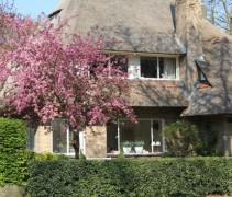 Sierappel 'Profusion', hoogstam boom voor villa