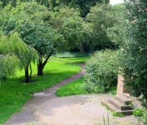Cydonia Oblonga in het park