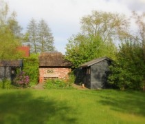 Gemengde haag in landelijke tuin.