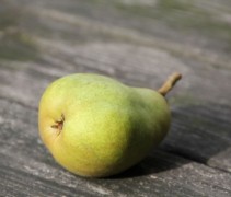 Pyrus communis 'Beurre Hardy'