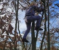 Carpinus betulus - Haagbeuk - klimmen is leuk