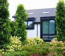 Hortensia 'Limelight' voor moderne woning