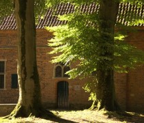 De Gewone Beuk toepassing