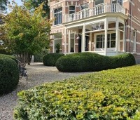Taxus baccata - Venijnboom - 5