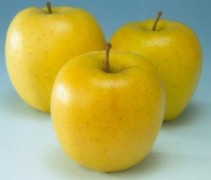 Golden delicious