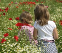Natuurbeleving is belangrijk voor kinderen en in dit 'weiland' past natuurlijk ook de Korenbloem...