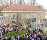 Carpinus betulus - Haagbeuk - klimboom aangeplant in Alkmaar 2025