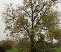 Voorbeeld toepassing
