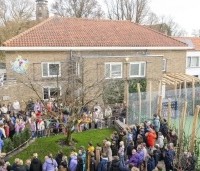 Carpinus betulus - Haagbeuk - aanplant en inwijding klimboom in Almaar voorjaar 2025