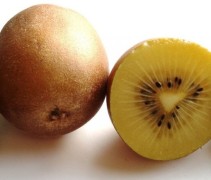 Actinidia kiwi gold