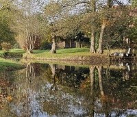 Alnus glutinosa - Zwarte Els - 2