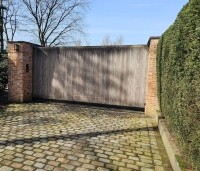 Taxus baccata - Venijnboom - 1